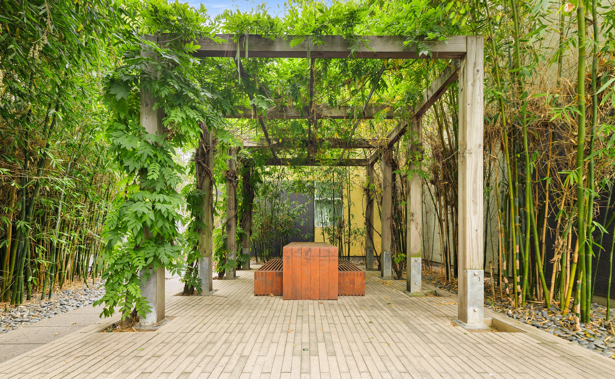 Community pergola and bamboo garden